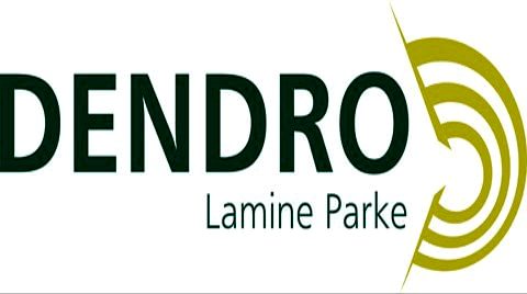 dendro